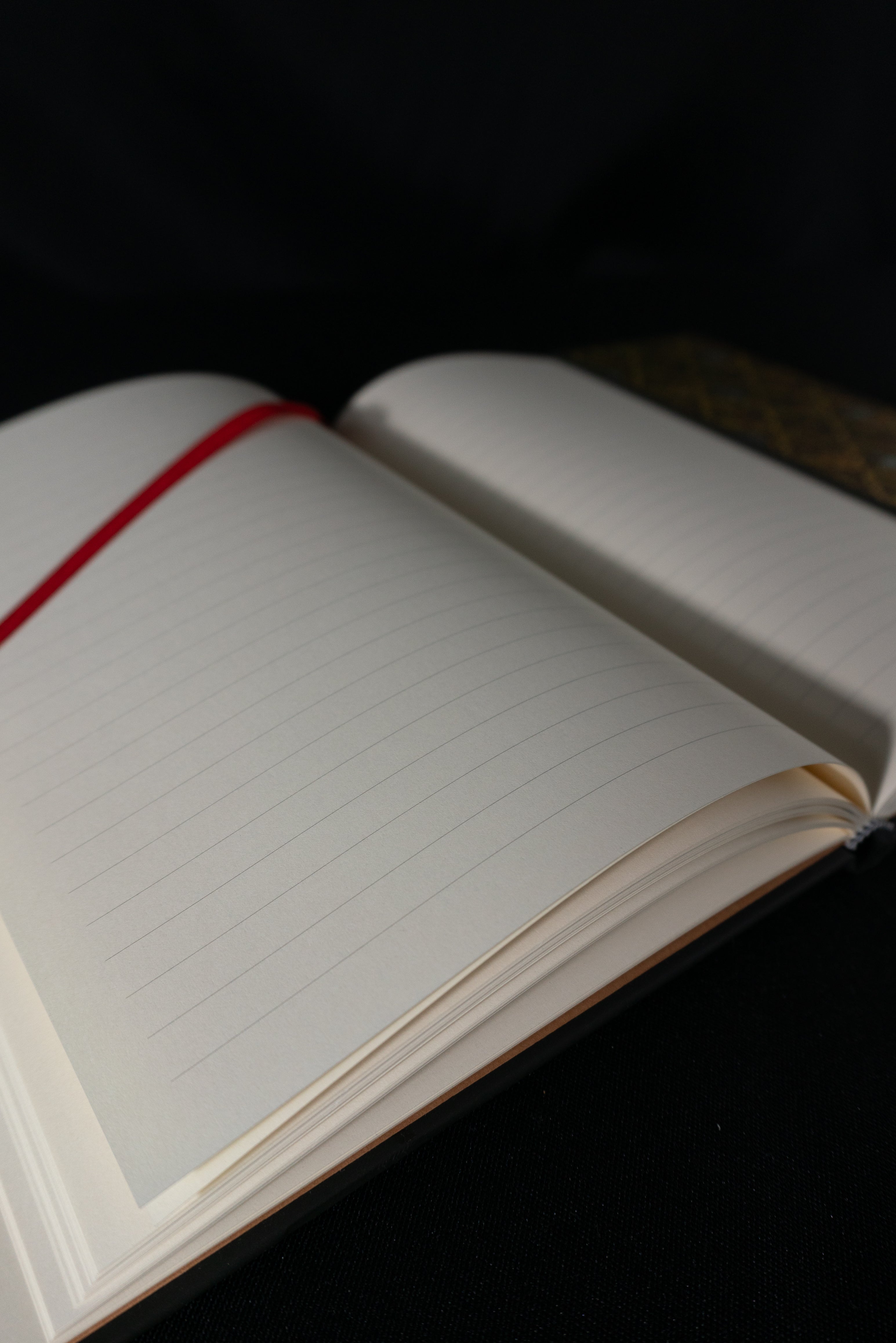 Journal Destiny Ultra — Com Pauta