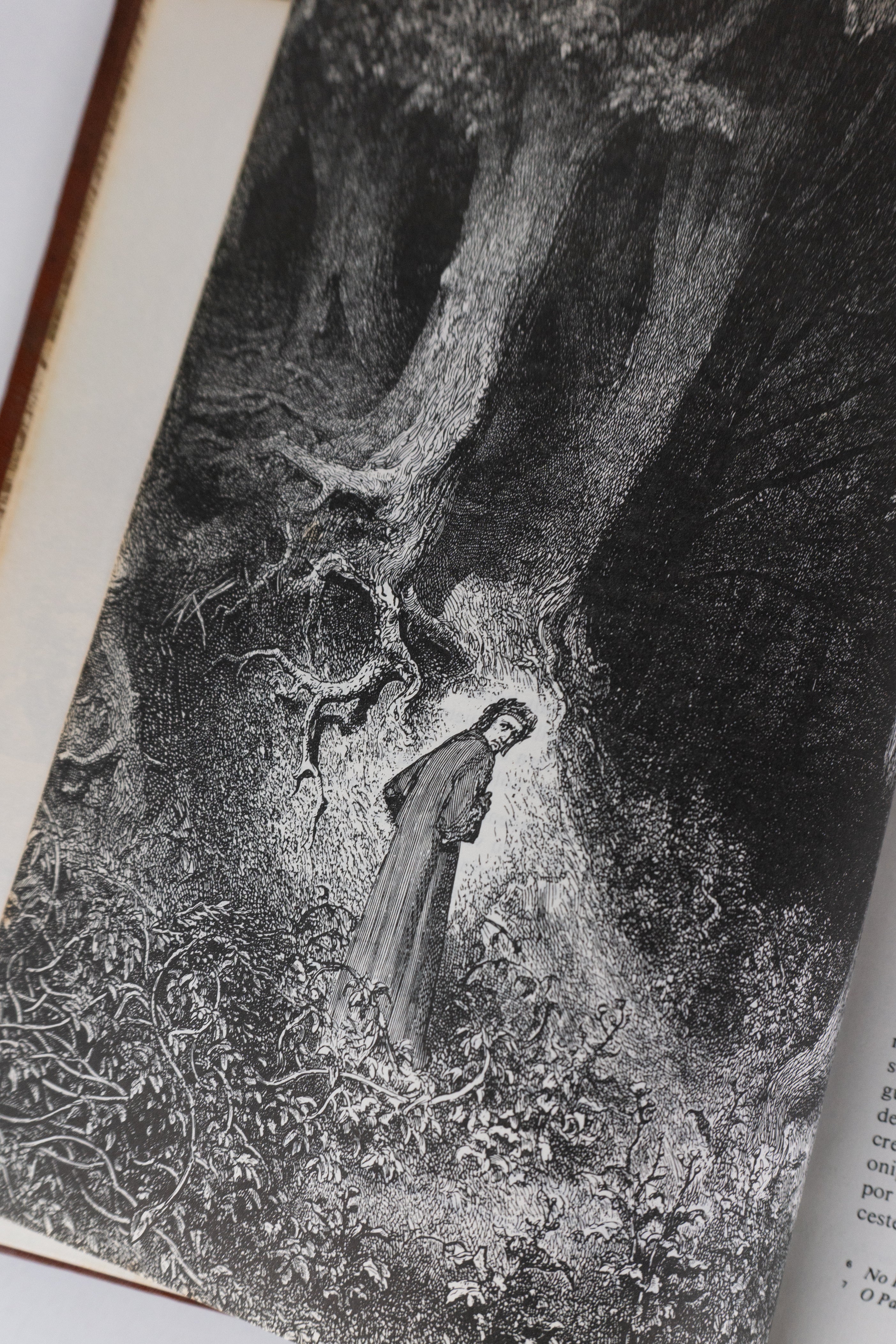 A Divina Comédia — DANTE