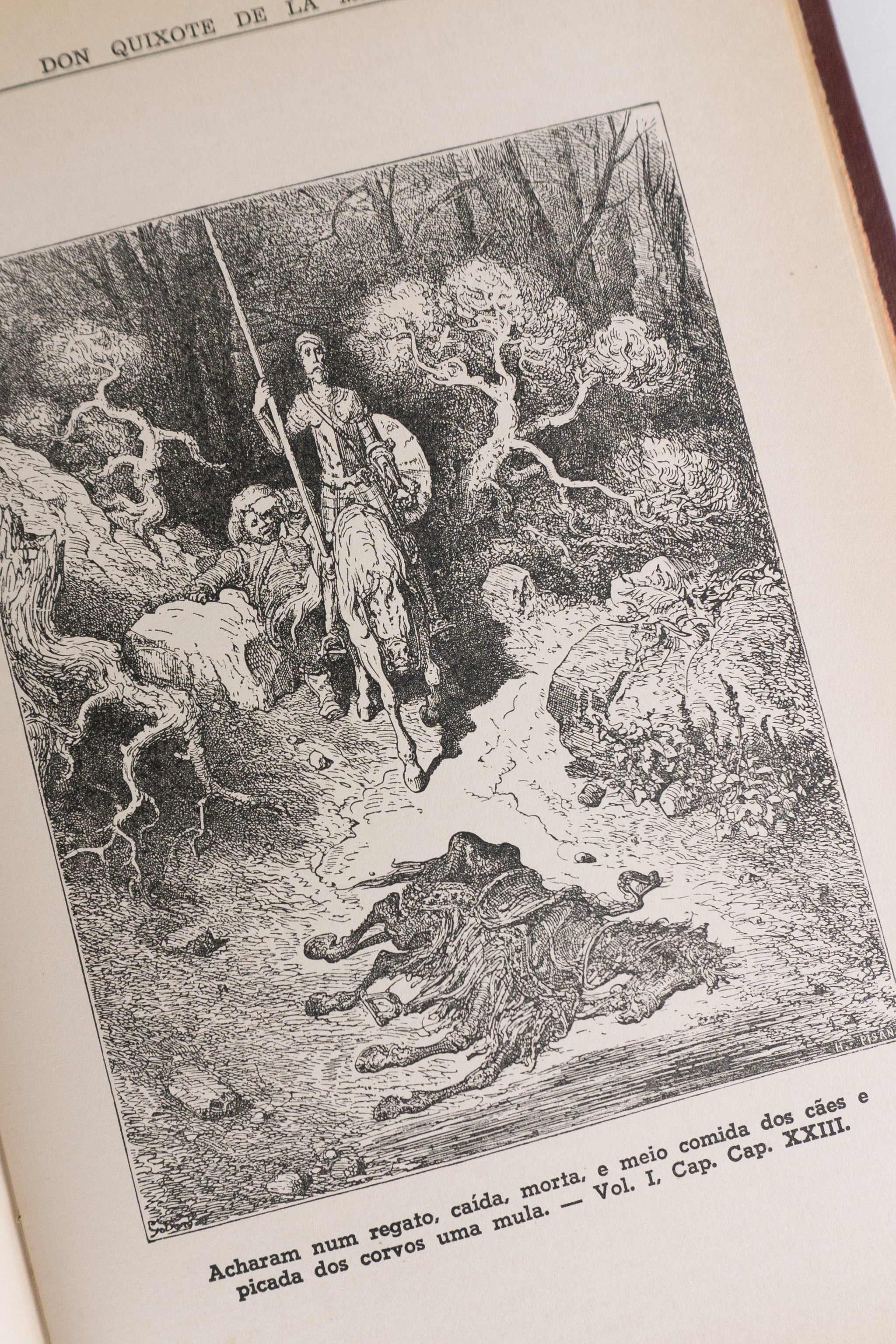 Dom Quixote de La Mancha — MIGUEL DE CERVANTES