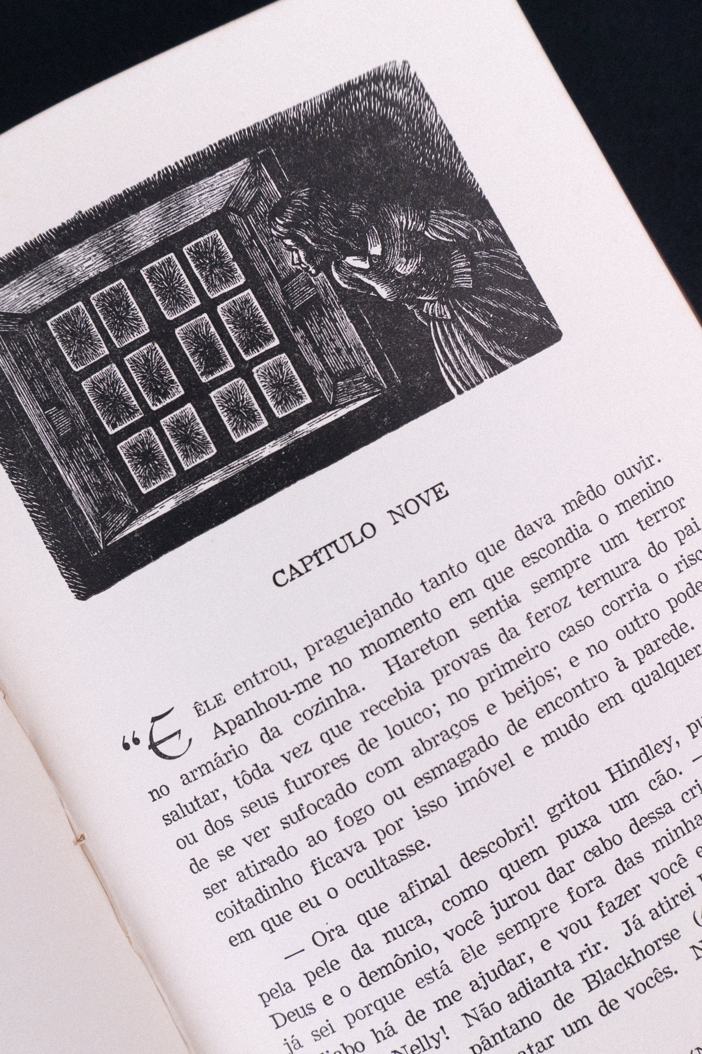 O Morro do Vento Uivante — EMILY BRONTË