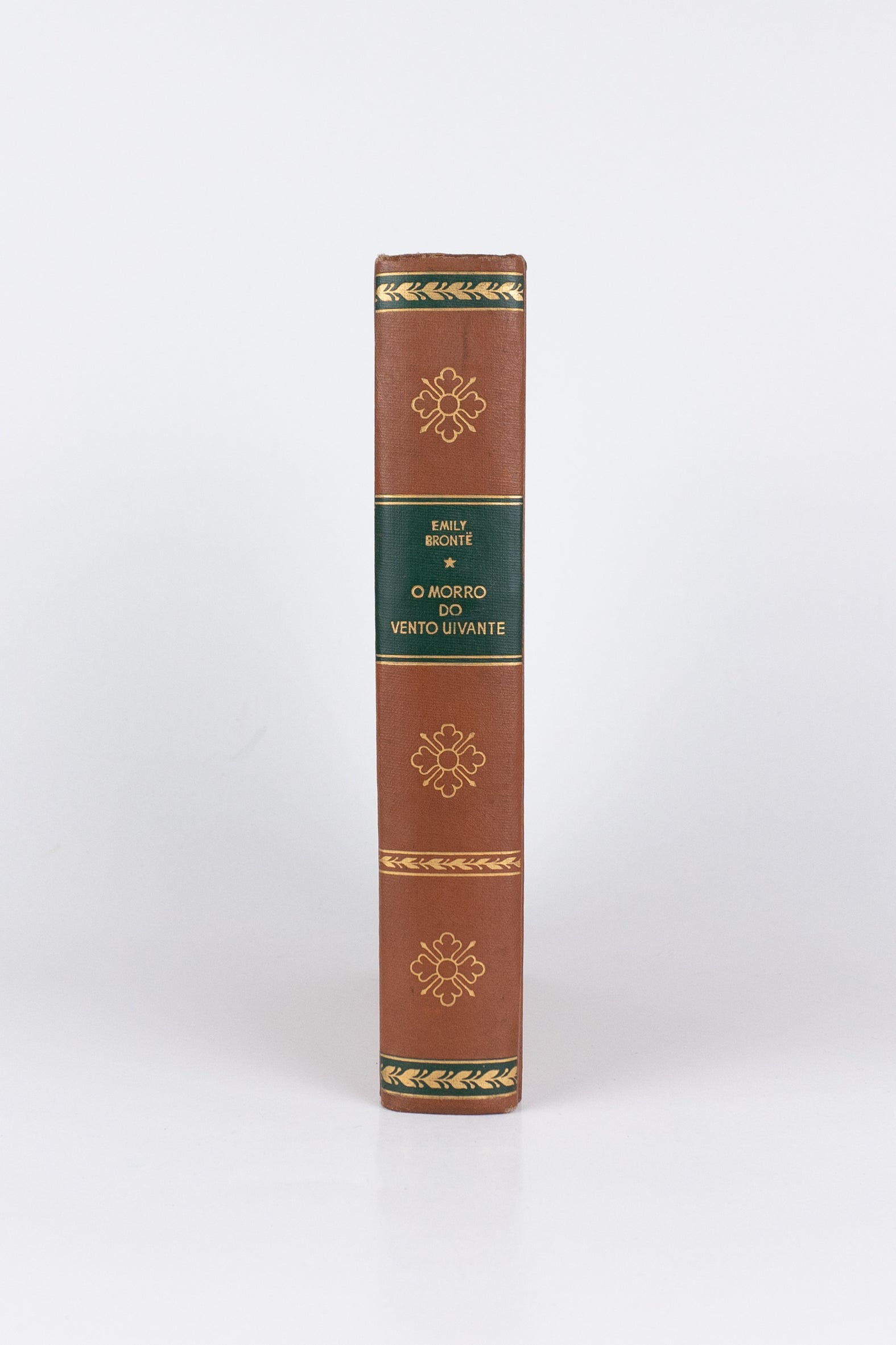 O Morro do Vento Uivante — EMILY BRONTË