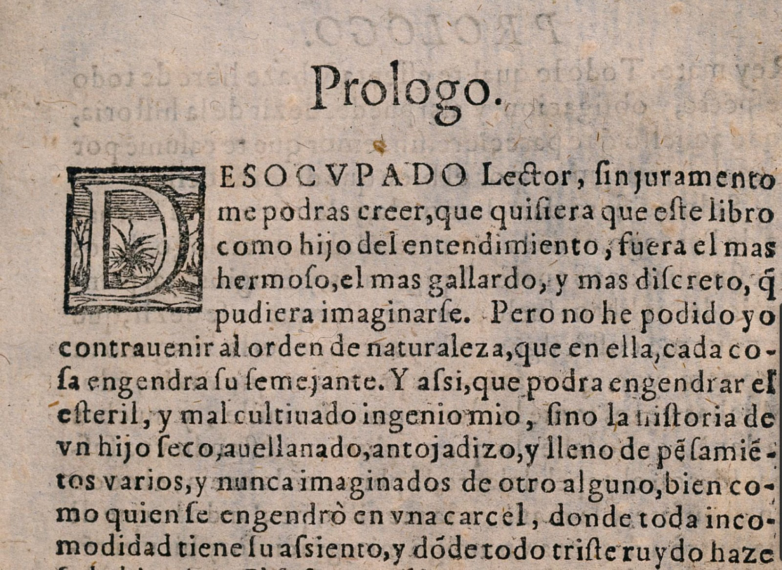 Biblioteca Saavedra