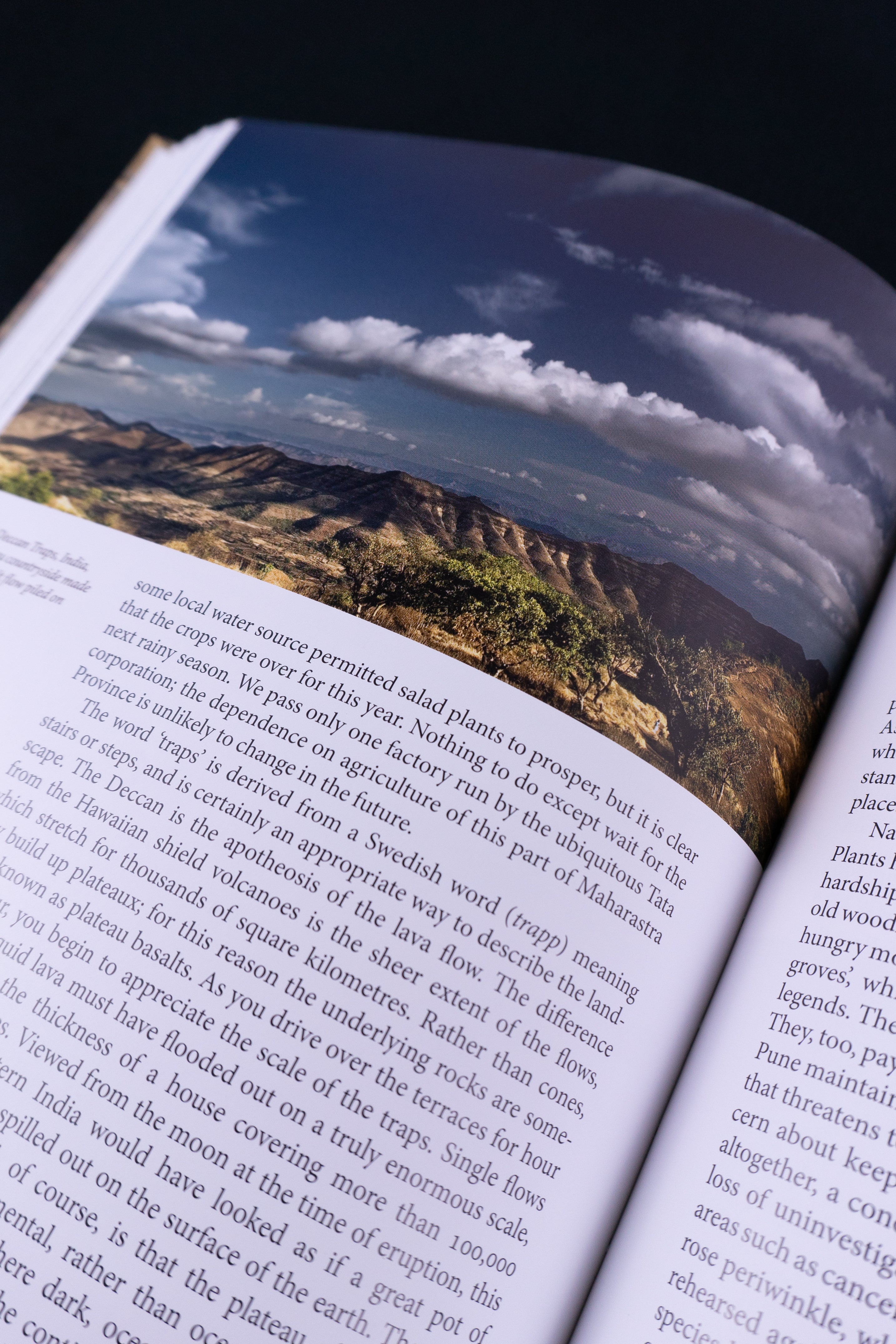 The Earth — RICHARD FORTEY